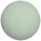 Mint Olive
